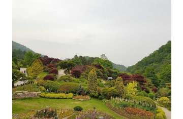 Garden of Morning Calm, Korea