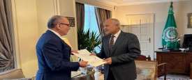 أحمد أبو الغيط والسفير التركي بالقاهرة