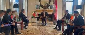 لقاء وزير الخارجية المصري مع الشركة الصينية