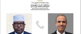 وزيرا الخارجية المصري والصومالي