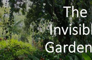 The Invisible Gardner