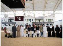 FBMA International Show Jumping Cup