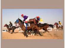 Fifth Purebred Arabian Horse Race