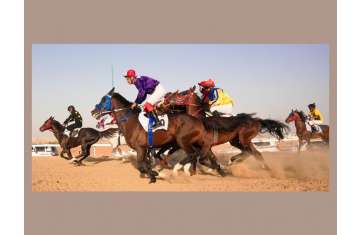 Fifth Purebred Arabian Horse Race