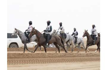 UAE President's Endurance Cup