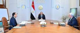 اجتماع السيسي