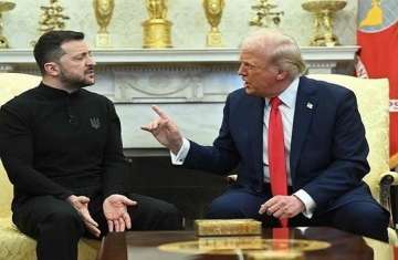 ترامب وزيلنسكي