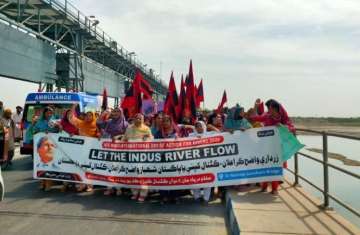 Indus River Issue