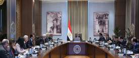 الحكومة المصرية