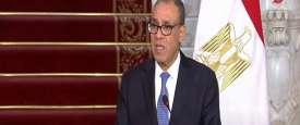 وزير الخارجية المصري