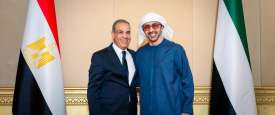 وزيرا الخارجية الإماراتي والمصري