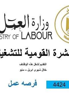 وظائف مصر