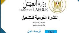 وظائف مصر
