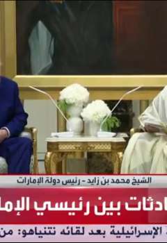 محمد بن زايد ودونالد ترامب 